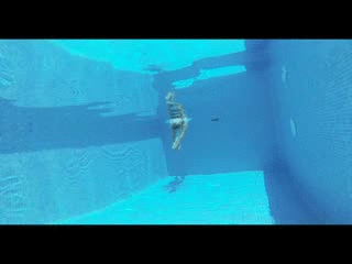 Underwater Blowjob Videos, Photos And Other Content and ...